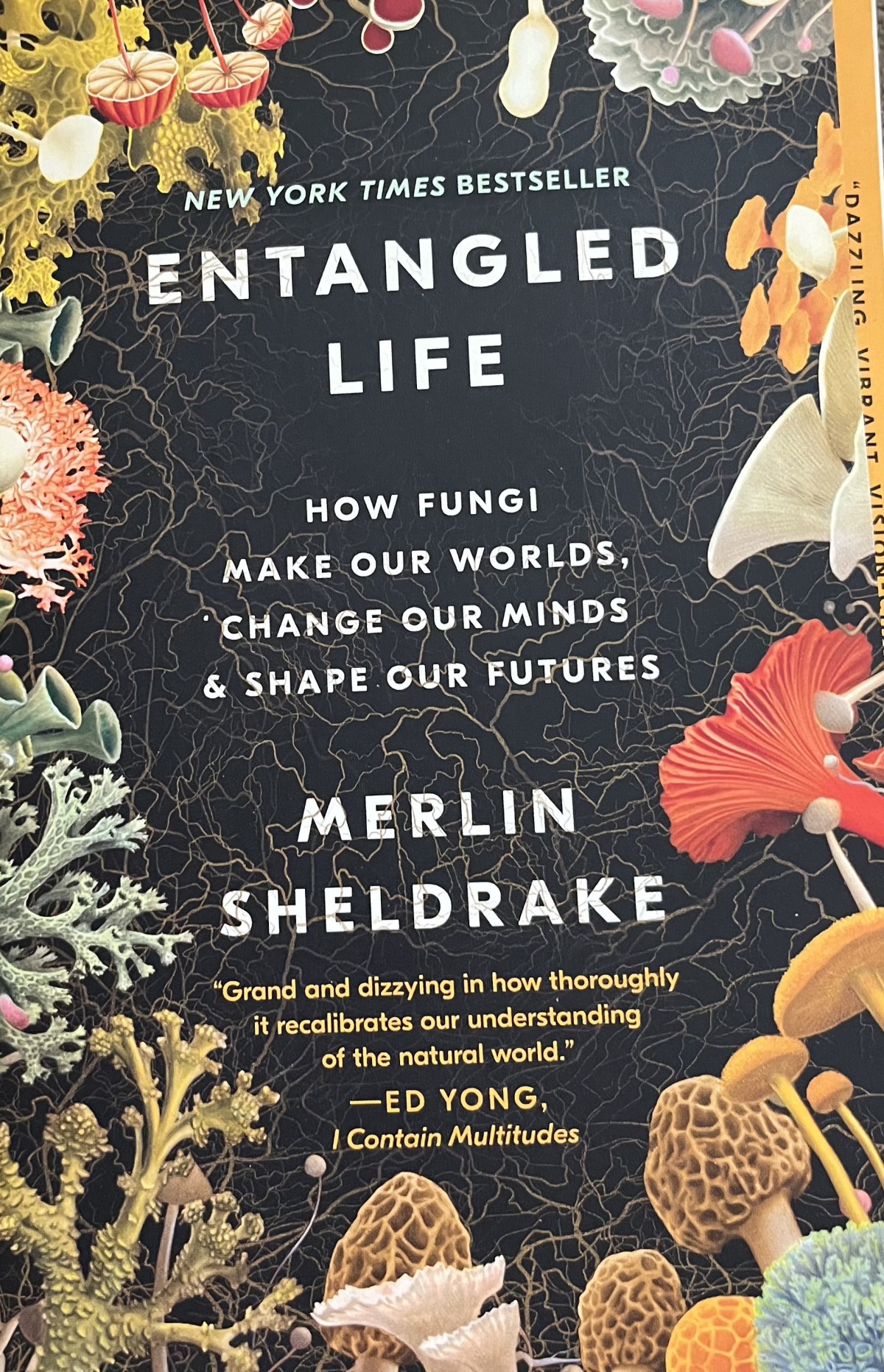 Entangled Life by Merlin&nbsp;Sheldrake