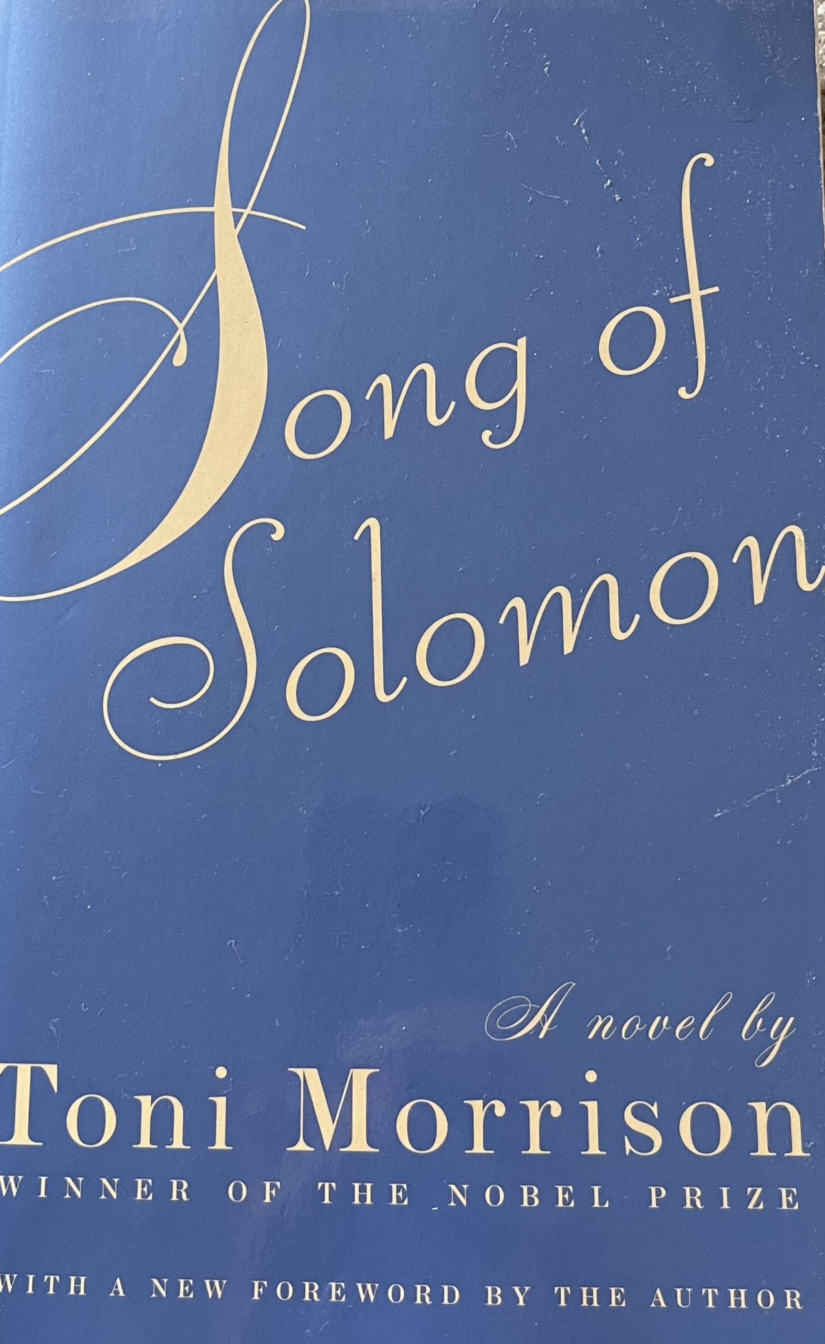 Song of Solomon by Toni&nbsp;Morrison