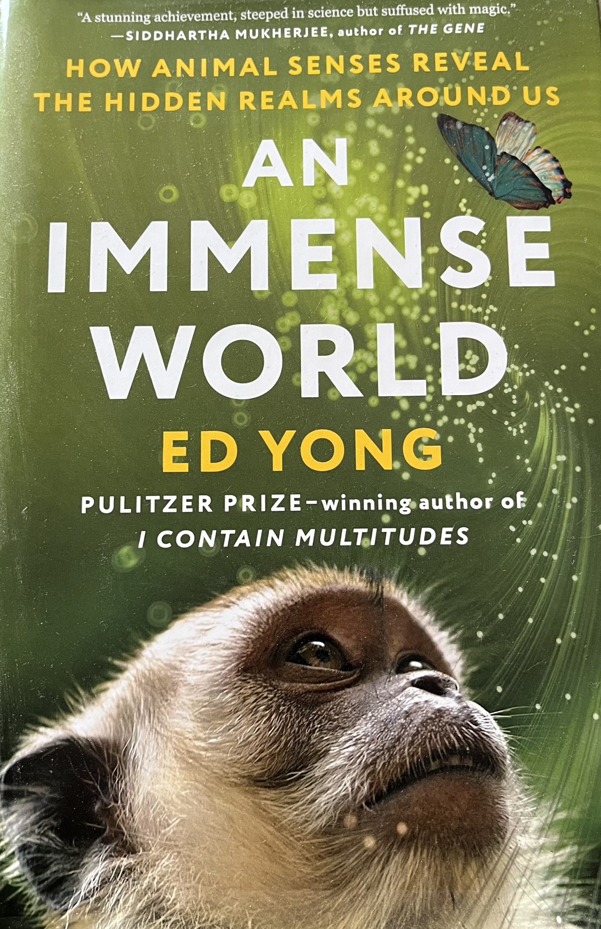 An Immense World by Ed&nbsp;Yong