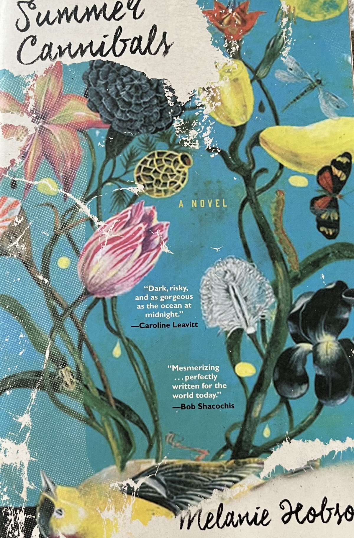 Summer Cannibals by Melanie&nbsp;Hobson