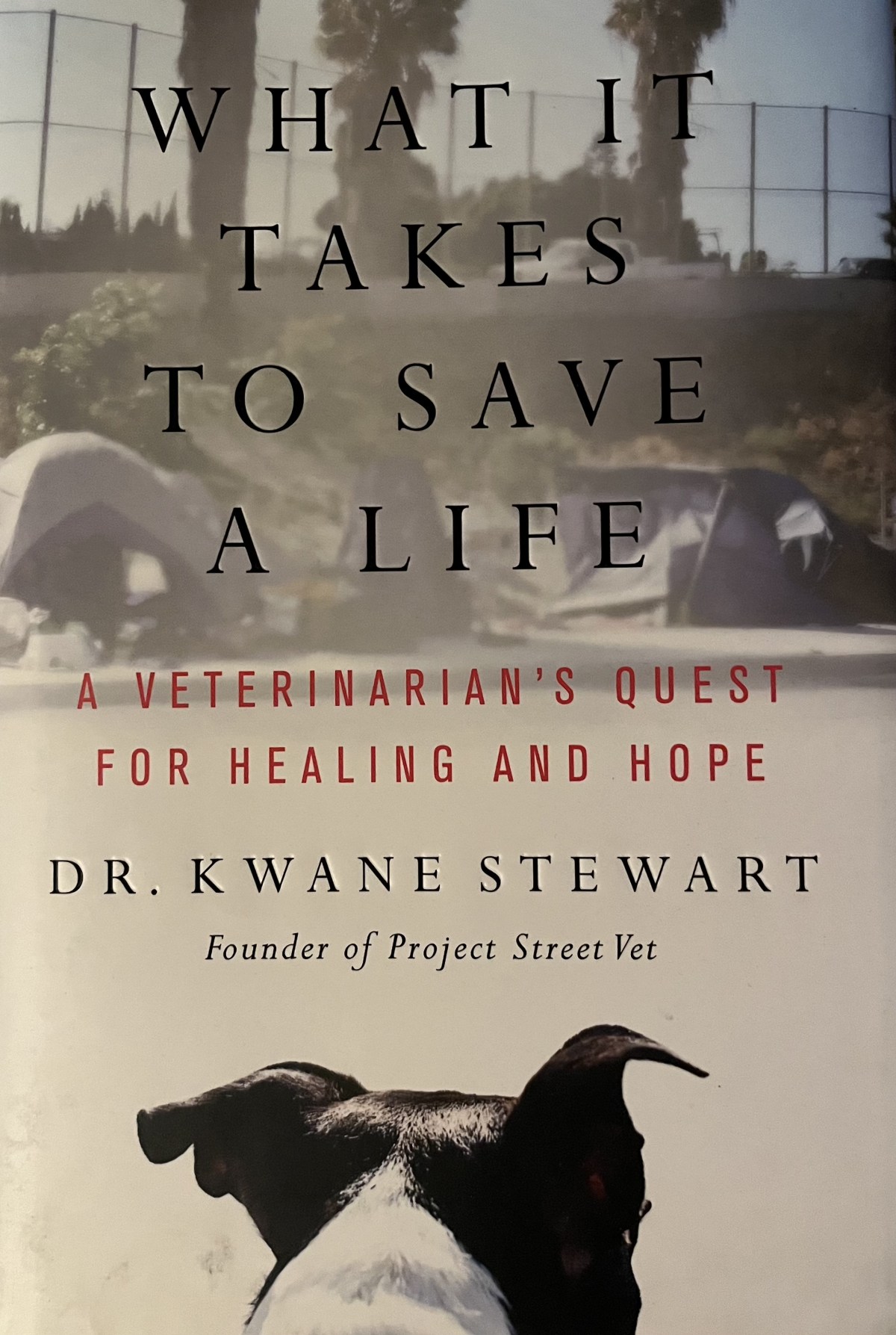 What It Takes to Save a Life by Dr. Kwane&nbsp;Stewart